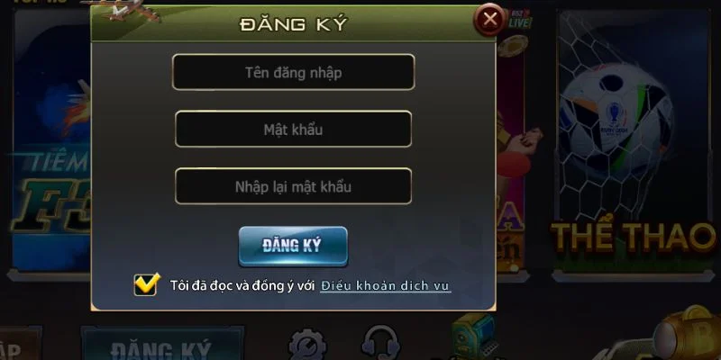 Điền thông tin tài khoản đăng ký trên cổng game